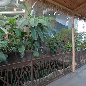 Journey To South America - River Giants Exhibit Upper Viewing Area