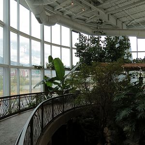 Journey To South America - Pathway Ramp