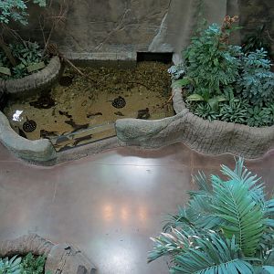 Journey To South America - View Down to First Floor