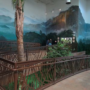 Journey To South America - Pathway Ramp