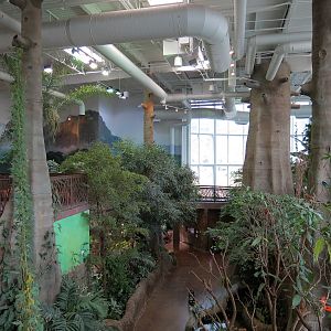 Journey To South America - Interior