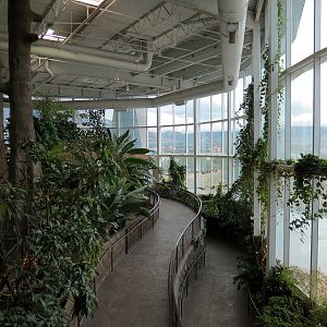 Journey To South America - Interior