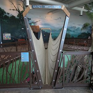 Journey To South America - Rope Bridge