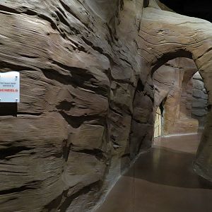 Discover Utah - Slot Canyon Pathway