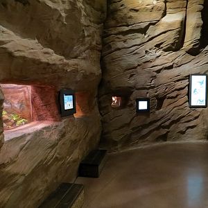 Discover Utah - Slot Canyon Exhibits