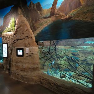 Discover Utah - Utah Game Fish Exhibit