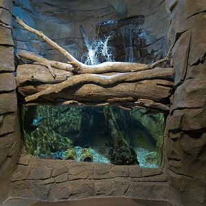 Discover Utah - Flaming Gorge Reservoir Exhibit