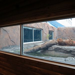 Discover Utah - North American River Otter Exhibit