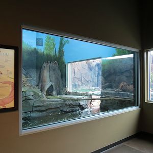 Discover Utah - North American River Otter Exhibit