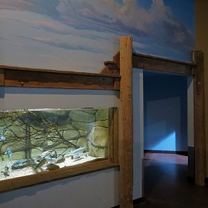 Discover Utah - Bear Lake Sculpin and Others Exhibit