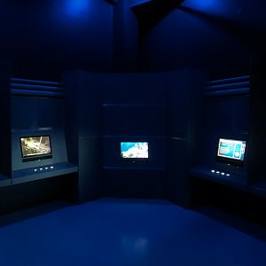 Antarctica Adventure - Entrance Climate Display