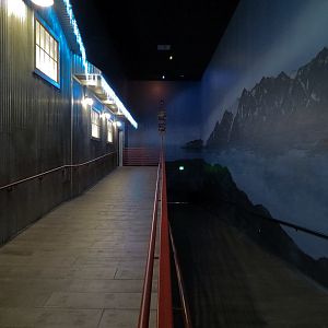 Antarctica Adventure - Visitor Ramp