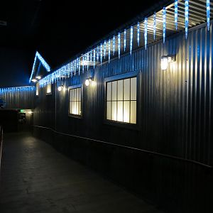 Antarctica Adventure - Visitor Ramp