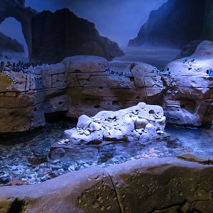 Ocean Explorer - Tide Pool Exhibit