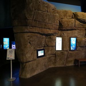 Ocean Explorer - Cephalopod Exhibits Cave Exterior