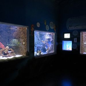 Ocean Explorer - Exhibit Hall