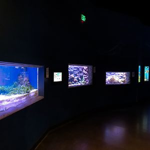 Ocean Explorer - Exhibit Hall