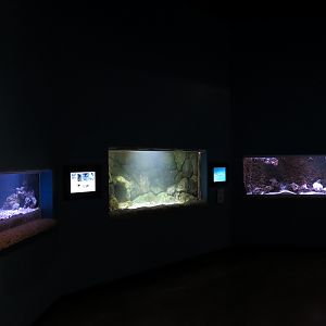Ocean Explorer - Exhibit Hall