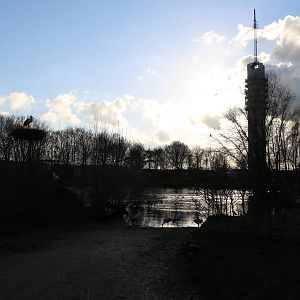 Lake view, February 2016