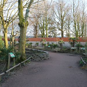 Lemur walkthrough, February 2016