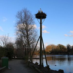 Stork nest & lake, February 2016