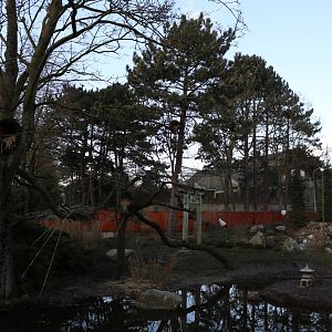 Red Panda enclosure, February 2016