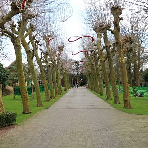 Central path, February 2016