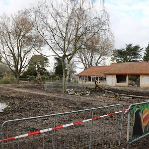 South American exhibit building site, February 2016