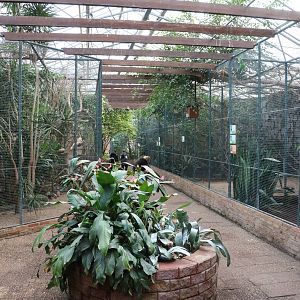 Tropical house, February 2016