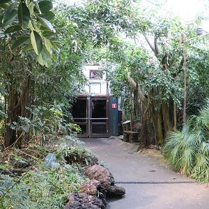 Tropical hall, February 2016