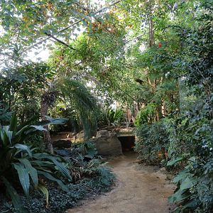 Tropical hall, February 2016