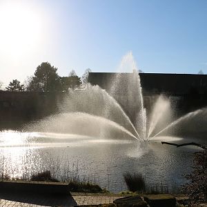 Fountain, February 2016