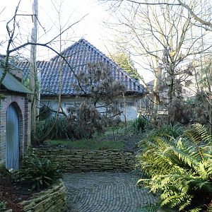 Owl aviary, February 2016