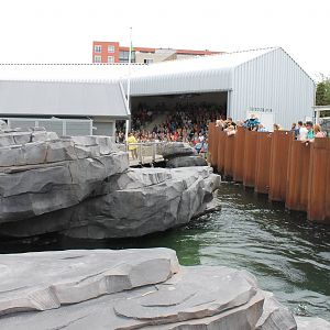 NORTICA - sea lion-show