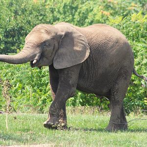 Aug. 2016 - Plains - Kedar