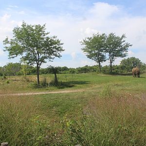 Aug. 2016 - Plains - Right Elephant Exhibit (Half of It)