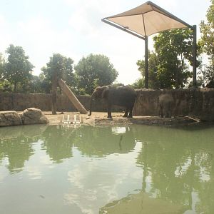 Aug. 2016 - Plains - Second Elephant Exhibit