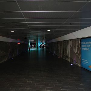 Tunnel Entrance