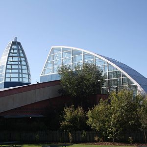 African Savanna Building (hippos, meerkats, giraffes, etc.)