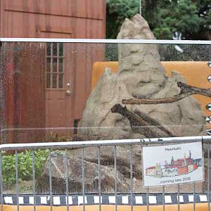 rainy day at the zoo