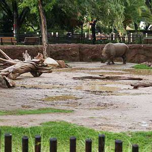 rainy day at the zoo