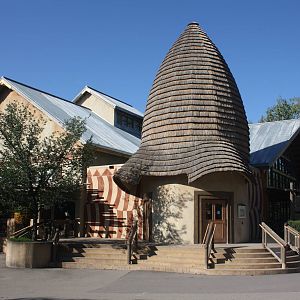 Safari Lodge