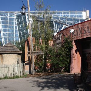 African Rainforest Building