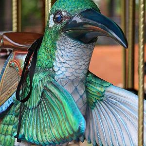 rainy day at the zoo