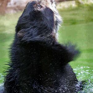 rainy day at the zoo