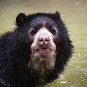rainy day at the zoo