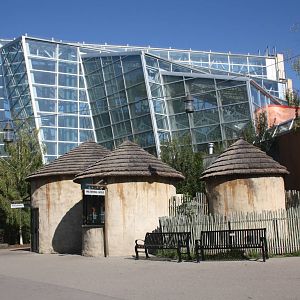 African Rainforest Building