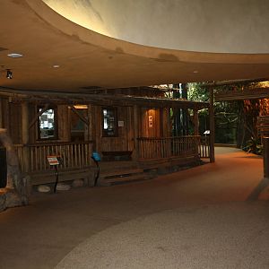 African Rainforest Building - Entrance Area