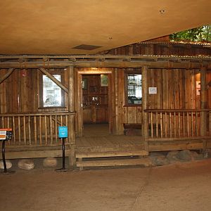 African Rainforest Building - Research Station