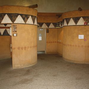 African Rainforest Building - Washrooms